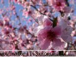 solul este il va lasa sa traimpe el!ajuta si invata sa ocroteshti natura! :zzz:  :zzz:  :zzz:  :zzz: